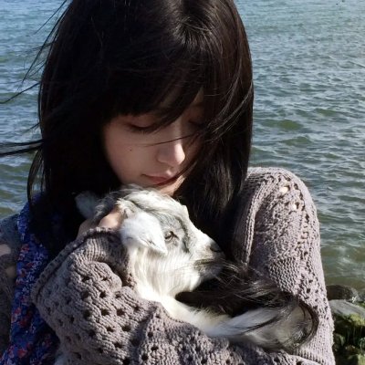 钢木兰